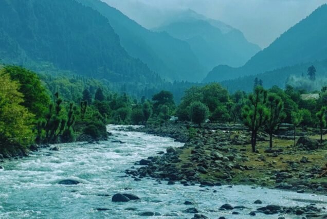 Kashmir Workation: 15 Days of Remote Paradise