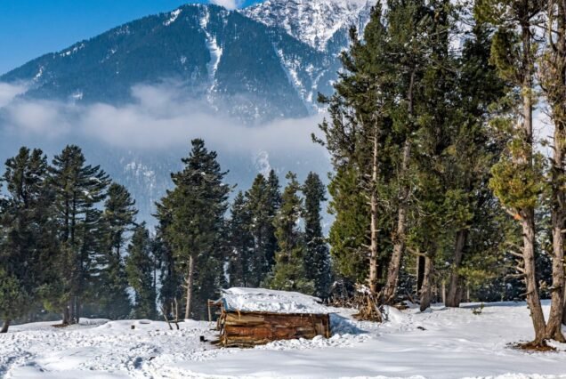 Kashmir's Tranquil Duet: Srinagar & Gulmarg (5 Days)